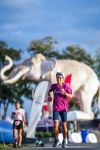 BIB: 
                            <button type="button" onclick="openModal(26541319)" class="btn btn-primary btn-sm float-right btn-popup" data-toggle="modal" data-target=".modal-high-quality">
                        <i class="fas fa-shopping-cart"></i> Add to Cart
                    </button>
                                            <button type="button" onclick="isThisMe(26541319, true)" class="btn btn-success btn-sm float-right btn-popup btn-isme hidden" data-toggle="tooltip" data-placement="bottom" title="นี่คือรูปของคุณใช่ไหม คลิกที่นี่เพื่อเอาเข้าอัลบั้ม">
                        <i class="fas fa-plus"></i> Add to album
                    </button>
                    <button type="button" onclick="isThisMe(26541319, false)" class="btn btn-warning btn-sm float-right btn-popup btn-isnotme hidden">
                        <i class="fas fa-ban"></i> Remove from album
                    </button>